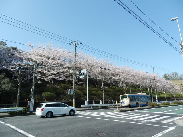 f0130894_15433629.jpg