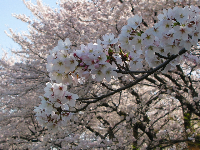 f0181394_15202537.jpg
