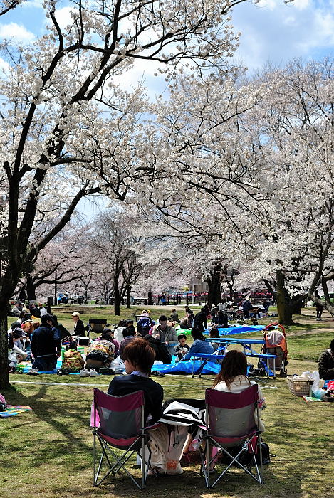 a0258099_2230915.jpg