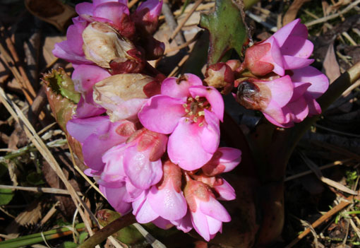 e0054299_13214486.jpg