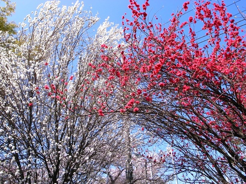 f0108399_20415087.jpg