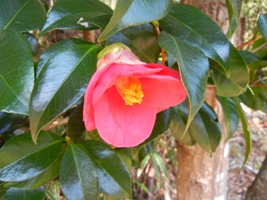 a0236300_1091676.jpg