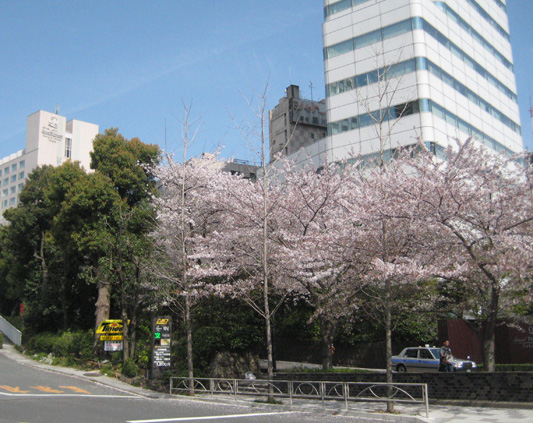 b0097200_23471551.jpg