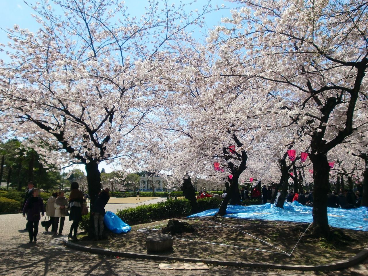 c0072801_10019.jpg