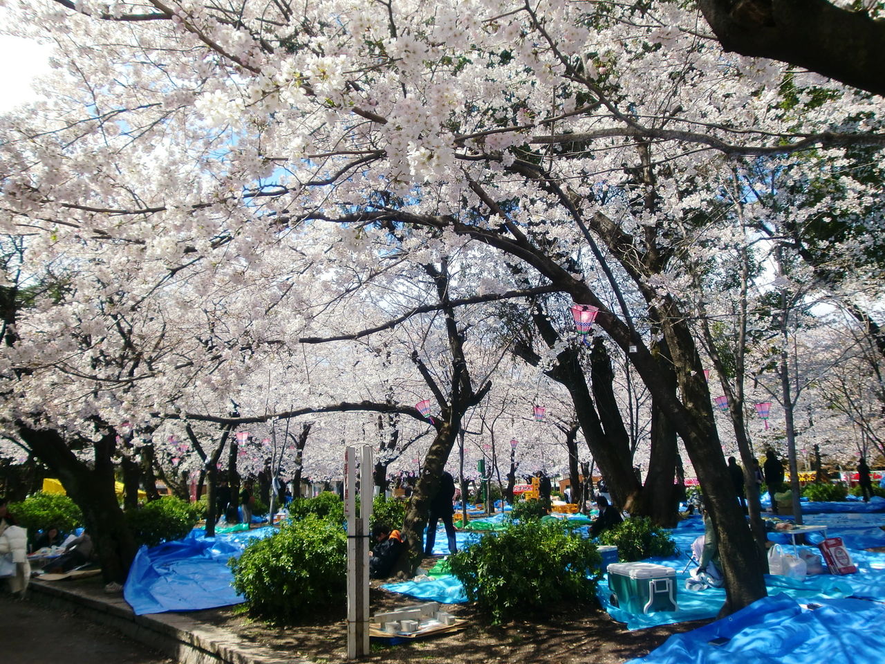 c0072801_1002295.jpg