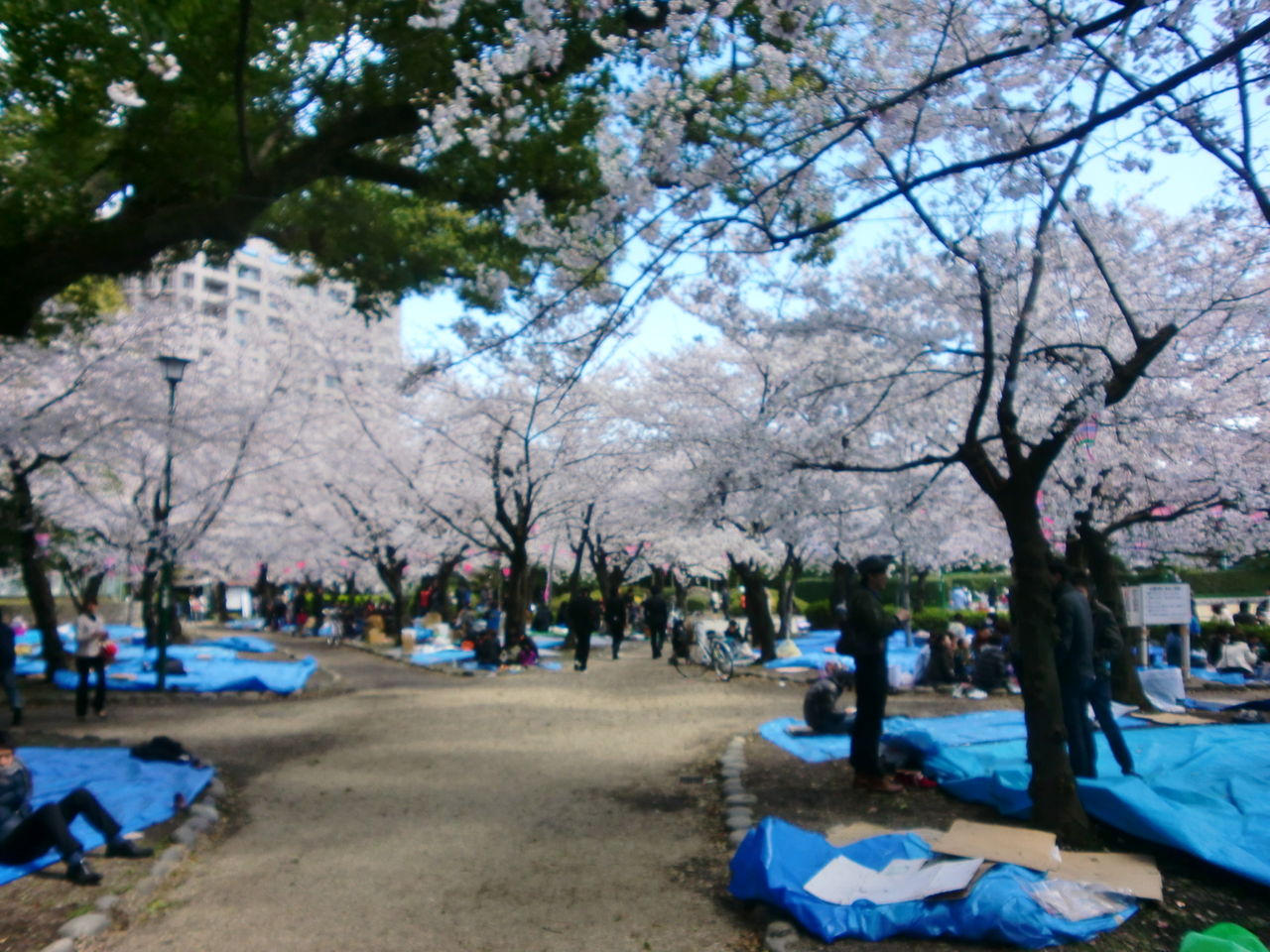 c0072801_1004237.jpg