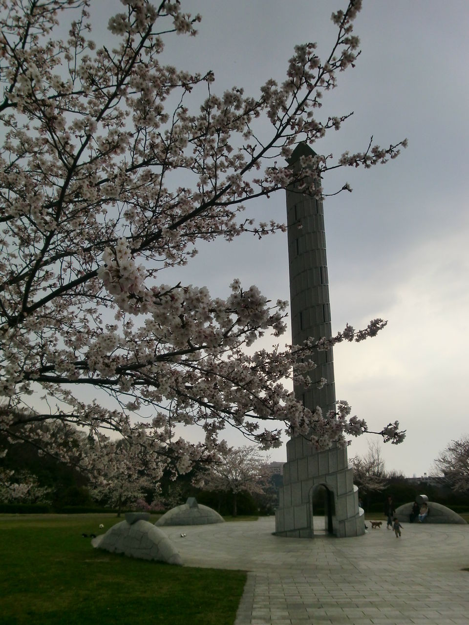 c0072801_105924.jpg
