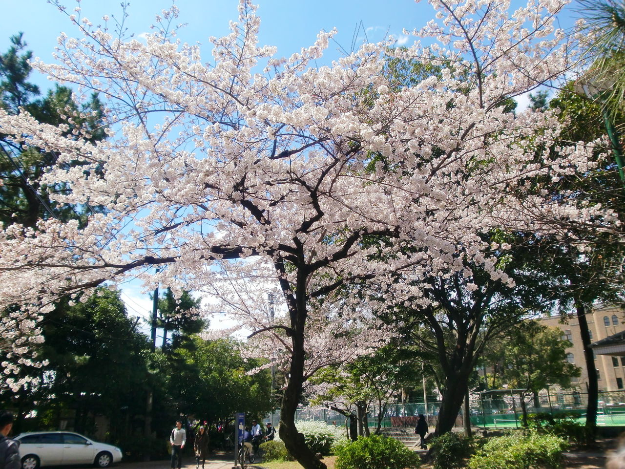 c0072801_9574043.jpg