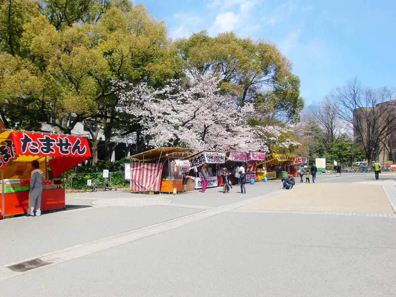 c0072801_9584379.jpg