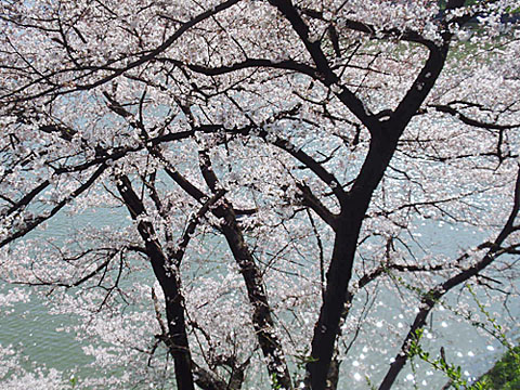 b0172203_190697.jpg