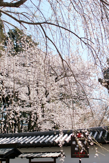 c0228404_5151821.jpg
