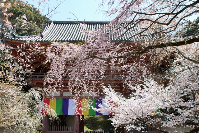 c0228404_5245226.jpg