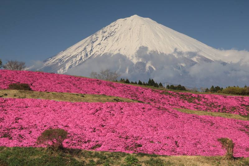 a0188405_2049015.jpg