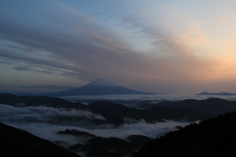 a0188405_837067.jpg