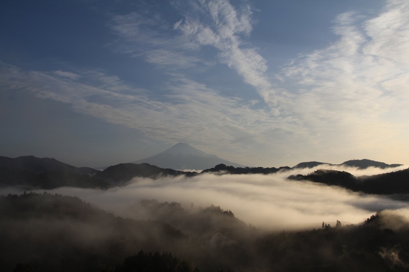 a0188405_8391430.jpg
