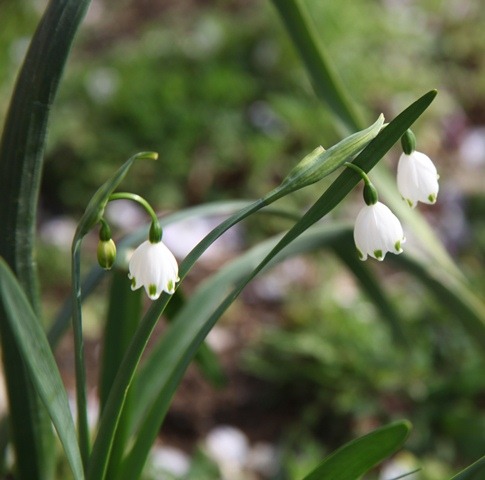 c0041207_9372291.jpg