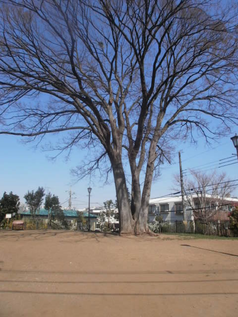 c0116610_159260.jpg