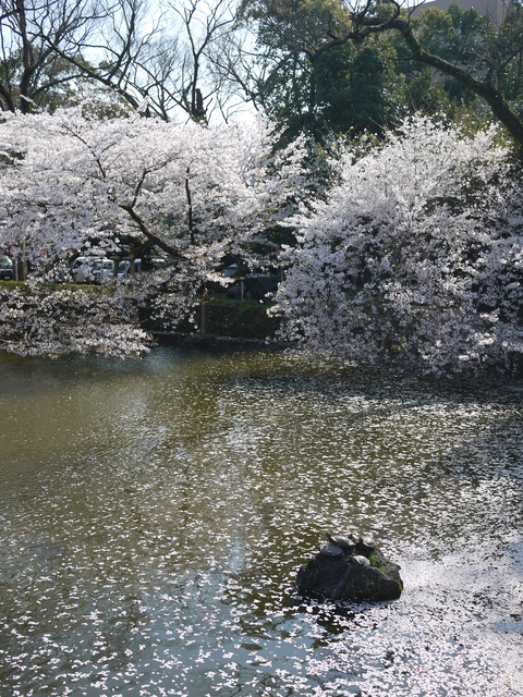 c0193017_12292147.jpg