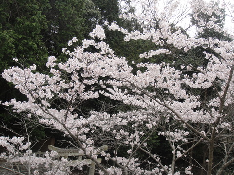 a0239418_12412462.jpg