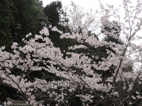 a0239418_12415182.jpg