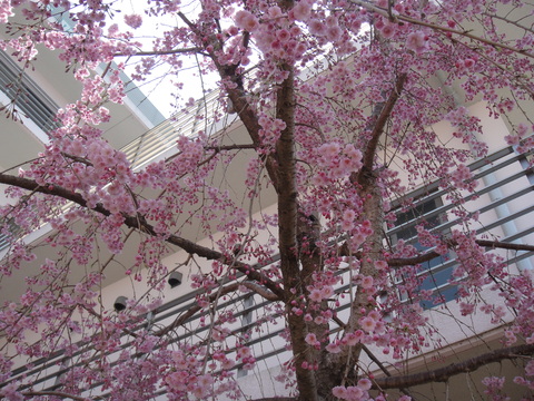 a0239418_12455631.jpg