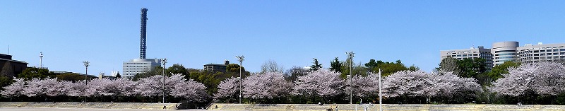 e0184921_2245124.jpg