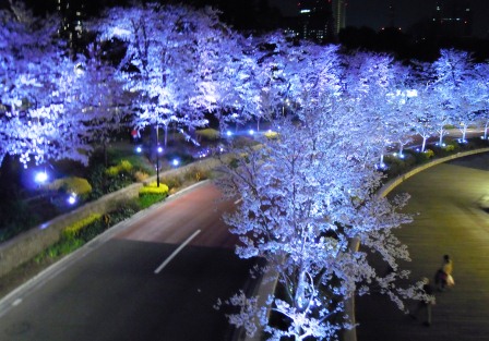 b0147922_21342149.jpg