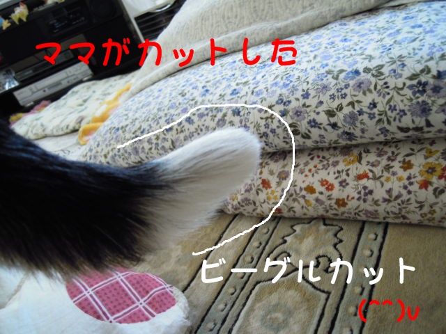 c0166622_923318.jpg