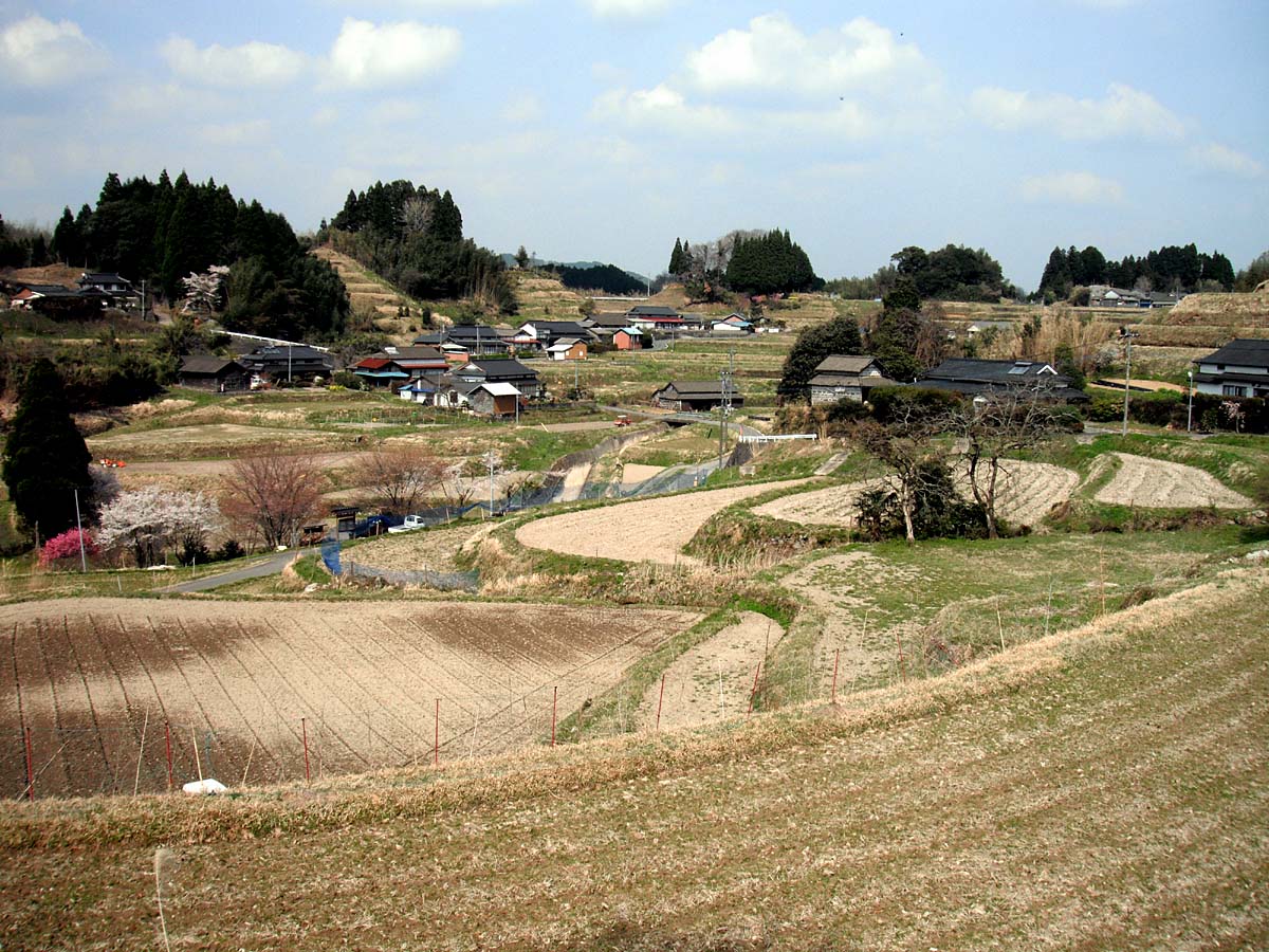 d0032222_103389.jpg