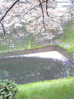 e0047322_22172297.jpg