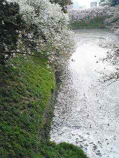 e0047322_22243724.jpg