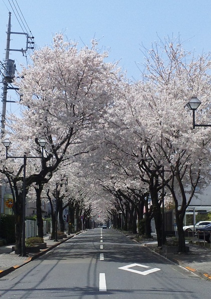 b0199924_143469.jpg