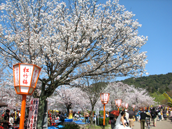 b0080027_19145488.jpg