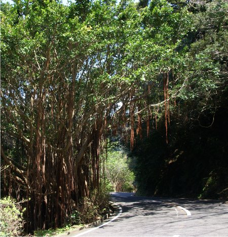 b0211627_18421220.jpg