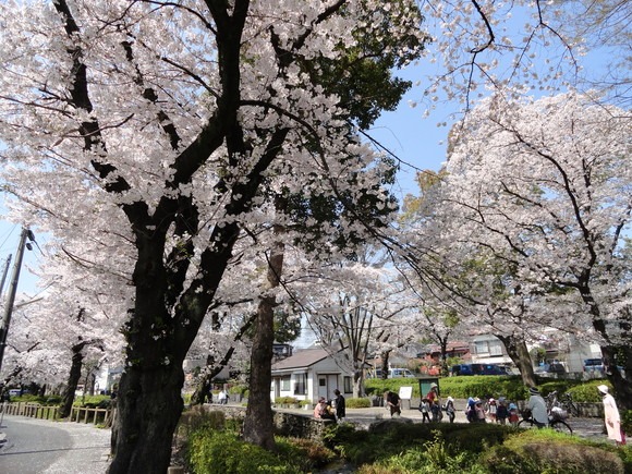 f0238932_1724579.jpg