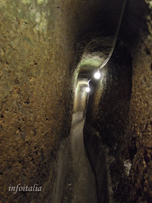 c0077533_2385719.jpg