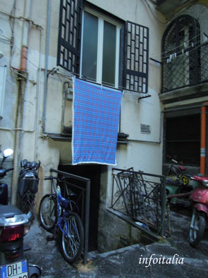 c0077533_311718.jpg