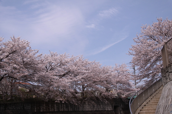 f0217933_13452895.jpg