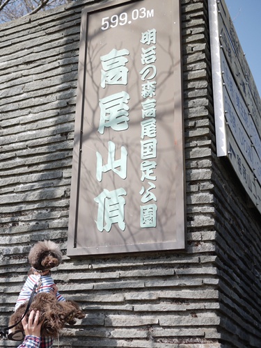 a0167234_003073.jpg