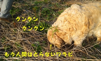 c0134734_14152680.jpg
