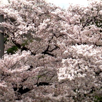 b0012636_21515618.jpg