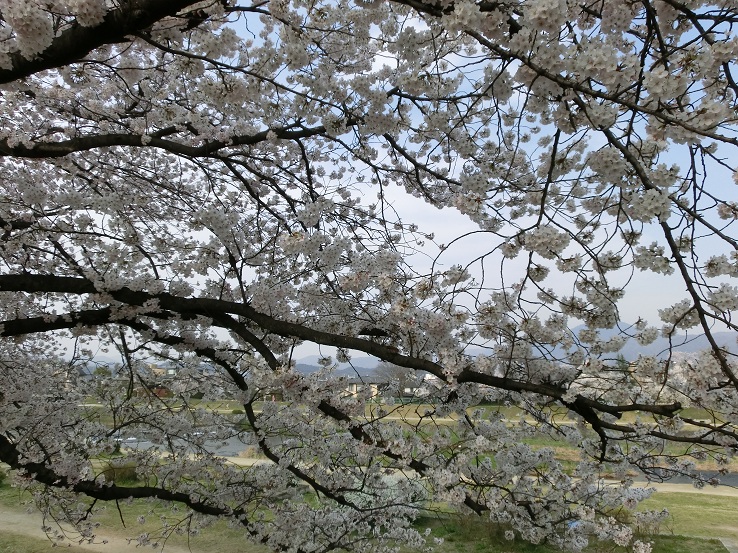 f0237037_4472182.jpg
