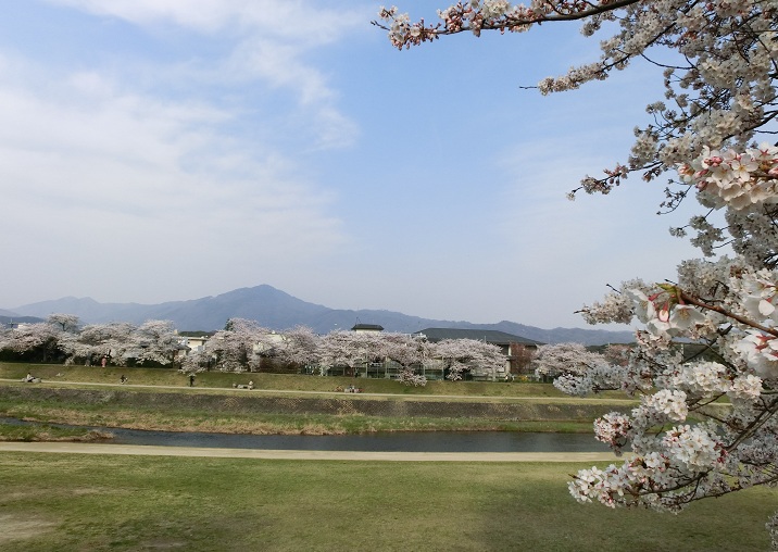 f0237037_4493474.jpg
