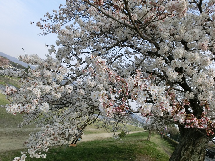 f0237037_449563.jpg