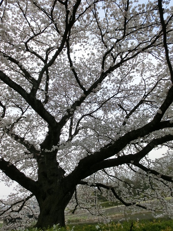 f0237037_4503871.jpg