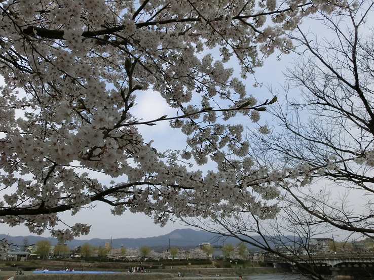 f0237037_4512522.jpg
