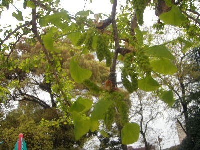 a0054240_23395989.jpg