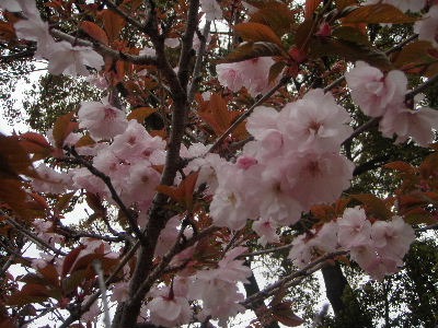 a0054240_23411651.jpg