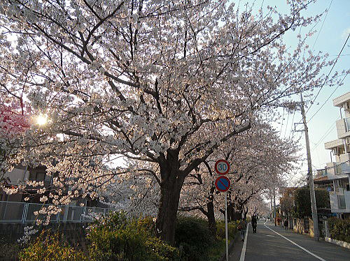 f0094843_112798.jpg