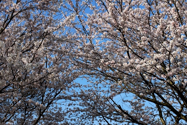 f0108553_183537.jpg